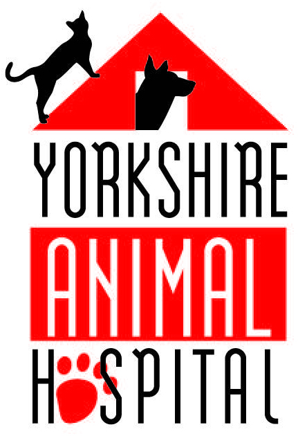 https://yorkshireanimalhospital.com/wp-content/uploads/2021/03/YorkAnHosLogo2017_1.jpeg