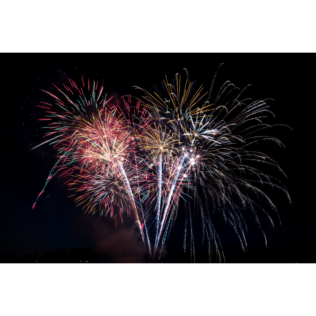Preparing Your Pet for the Fireworks This Holiday - Yorkshire Animal  Hospital