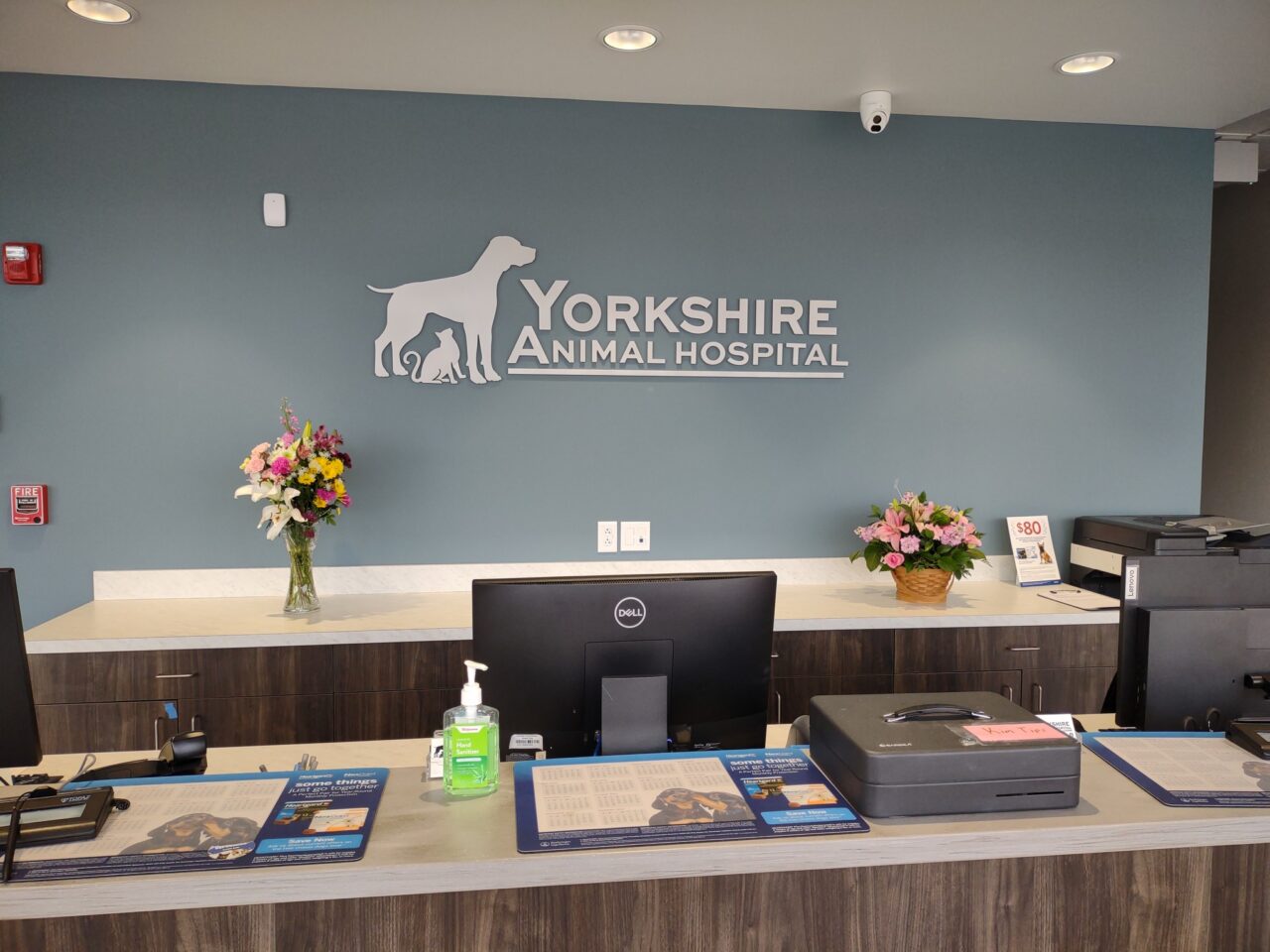Saint Louis, MO 63119 Veterinarian Yorkshire Animal Hospital