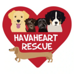 Havaheart Rescue Logo